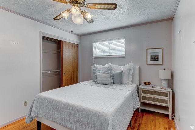 306 N 650 E, Kaysville, UT 84037