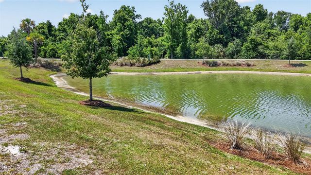 6857 BAYSINGER PATH, The Villages, FL 34762