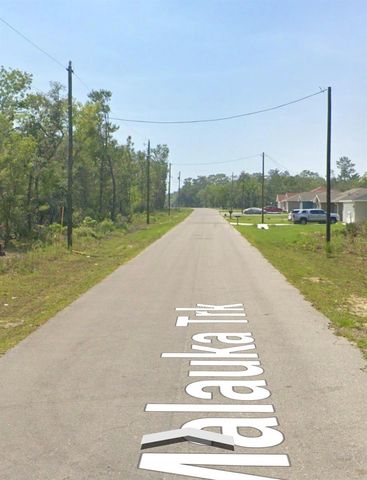 MALAUKA TRAK, Ocklawaha, FL 32179