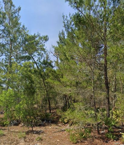 MALAUKA TRAK, Ocklawaha, FL 32179