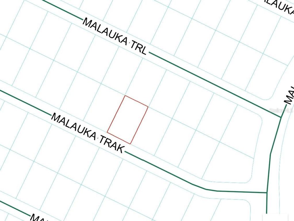 MALAUKA TRAK, Ocklawaha, FL 32179