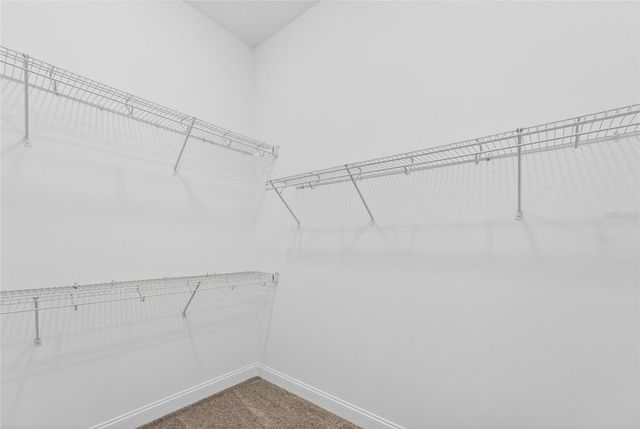15174 FIELD DAISY DRIVE, Winter Garden, FL 34787