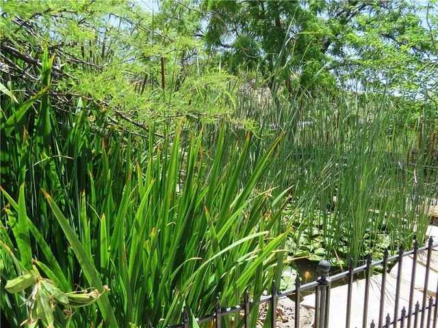 1720 N Clack Canyon Road, Kingman, AZ 86409