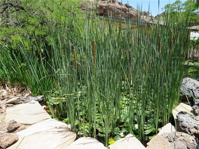 1720 N Clack Canyon Road, Kingman, AZ 86409