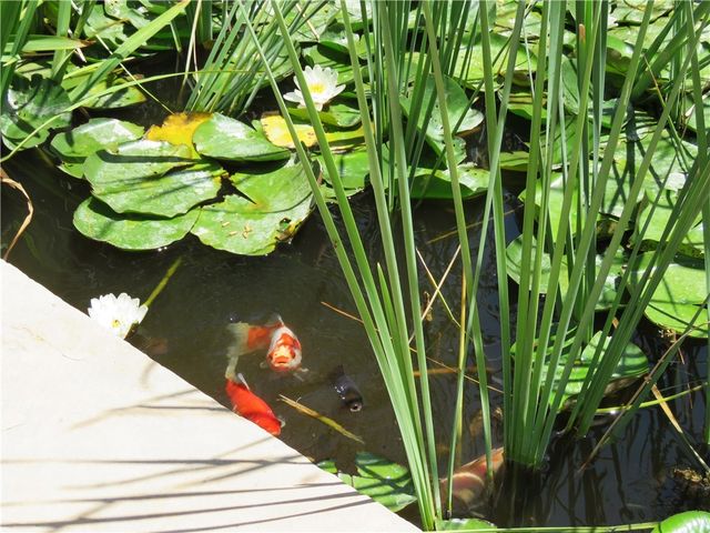 1720 N Clack Canyon Road, Kingman, AZ 86409