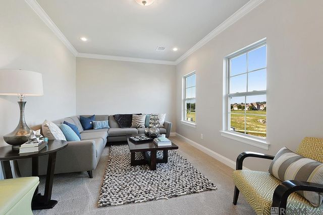 21513 Bluefin Dr, Springfield, LA 70462