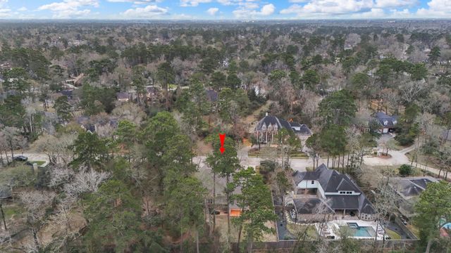 46 Hillock Woods, The Woodlands, TX 77380