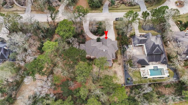 46 Hillock Woods, The Woodlands, TX 77380