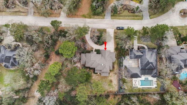 46 Hillock Woods, The Woodlands, TX 77380