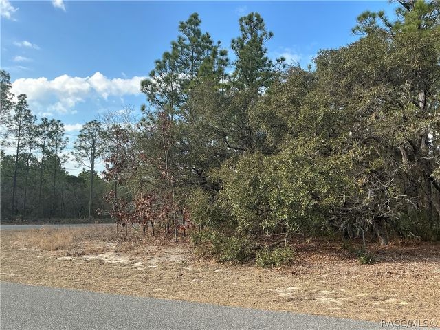 3959 W Galleon Street, Citrus Springs, FL 34433