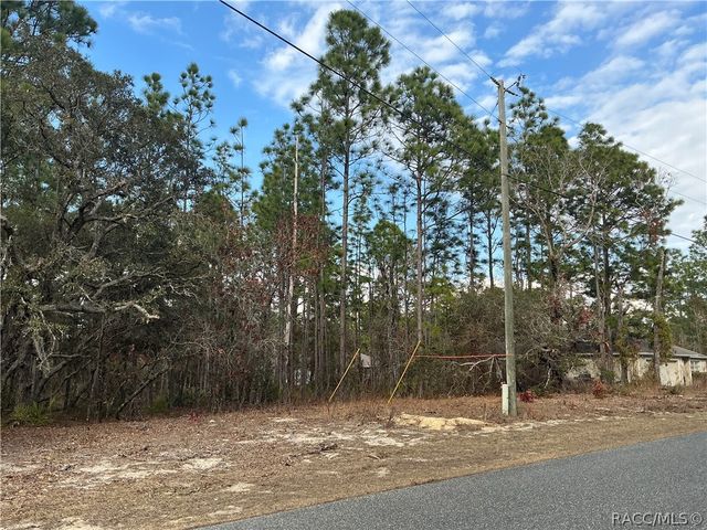 3959 W Galleon Street, Citrus Springs, FL 34433