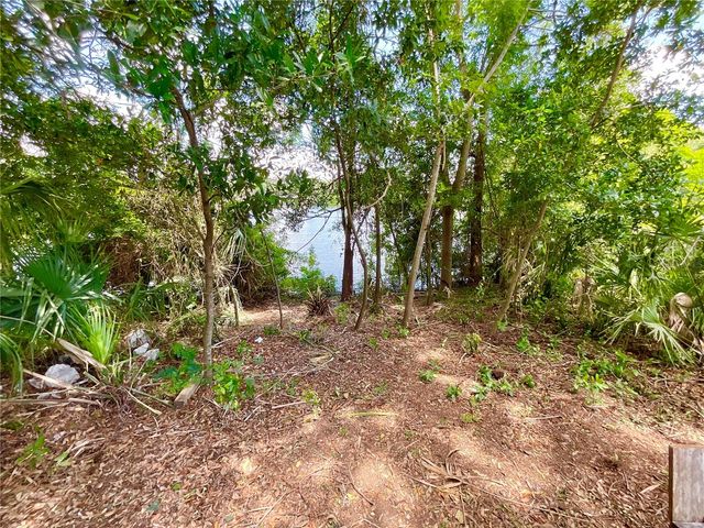 1145 7TH STREET N, Safety Harbor, FL 34695