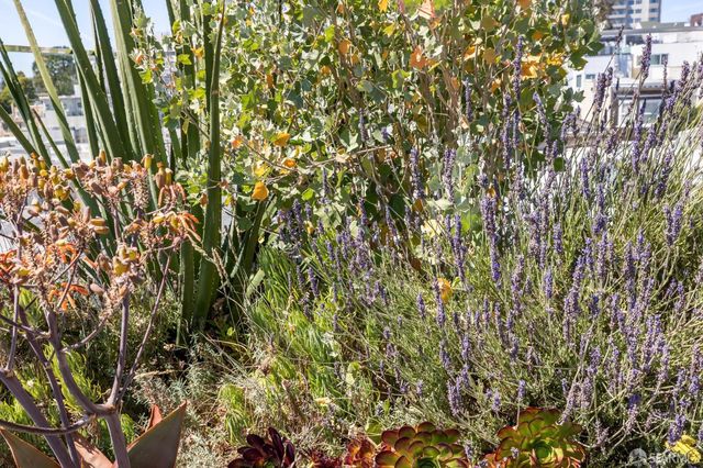 160 Bernard Street, San Francisco, CA 94106