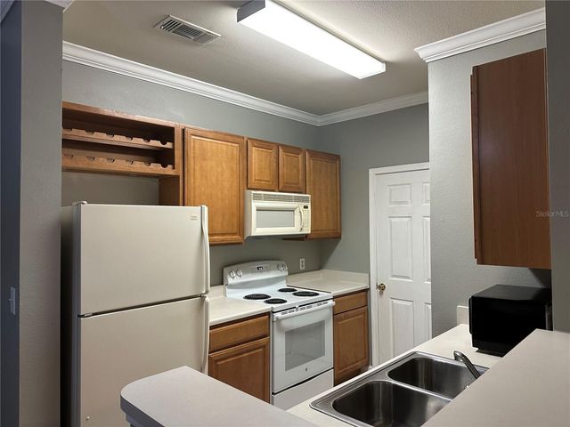 18302 BRIDLE CLUB DRIVE 18302, Tampa, FL 33647