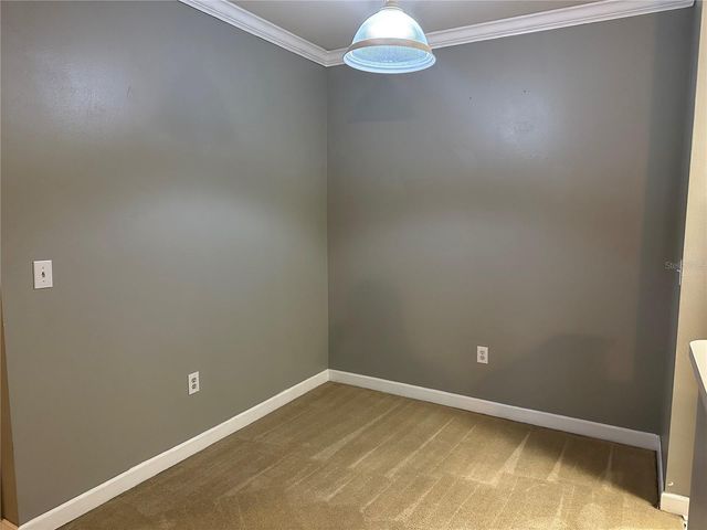 18302 BRIDLE CLUB DRIVE 18302, Tampa, FL 33647