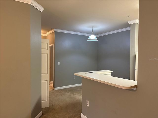 18302 BRIDLE CLUB DRIVE 18302, Tampa, FL 33647