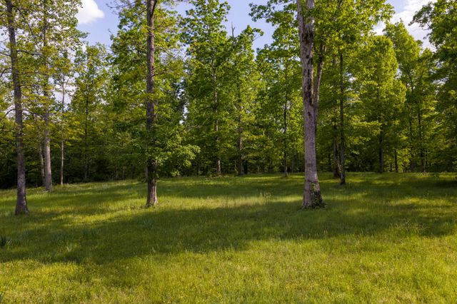 6415 Pinewood Rd, Nunnelly, TN 37137