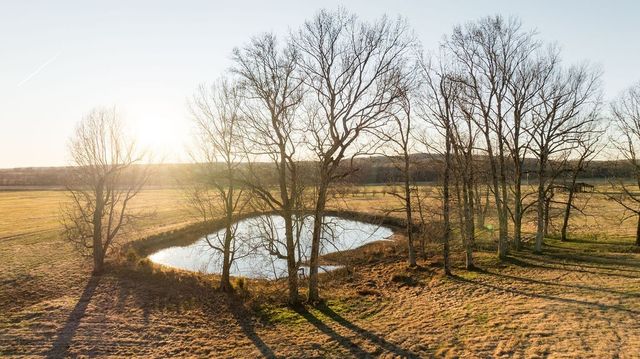 6415 Pinewood Rd, Nunnelly, TN 37137