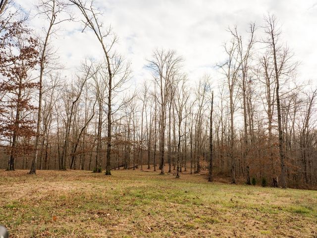 6415 Pinewood Rd, Nunnelly, TN 37137
