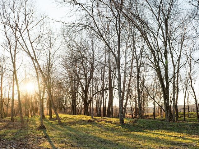 6415 Pinewood Rd, Nunnelly, TN 37137