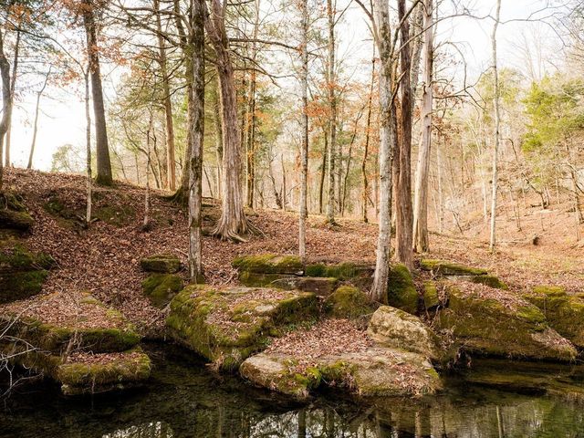 6415 Pinewood Rd, Nunnelly, TN 37137