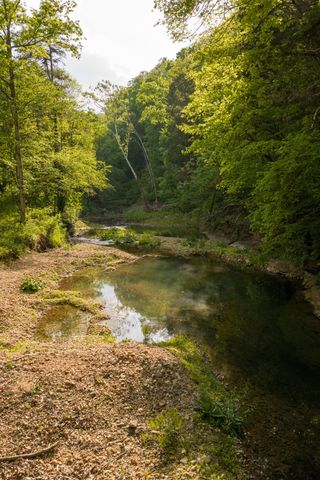 6415 Pinewood Rd, Nunnelly, TN 37137