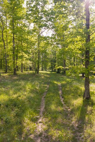 6415 Pinewood Rd, Nunnelly, TN 37137