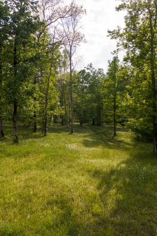 6415 Pinewood Rd, Nunnelly, TN 37137