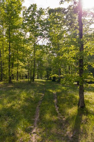6415 Pinewood Rd, Nunnelly, TN 37137