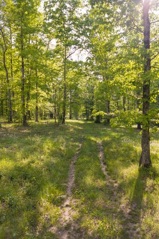 6415 Pinewood Rd, Nunnelly, TN 37137