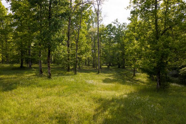 6415 Pinewood Rd, Nunnelly, TN 37137