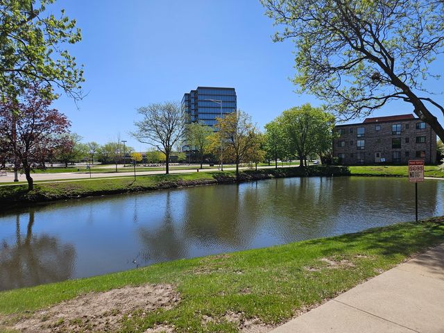 5502 TINDER Drive 5, Rolling Meadows, IL 60008