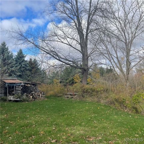 14013 West County House Rd., Albion, NY 14411