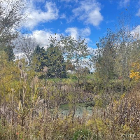 14013 West County House Rd., Albion, NY 14411