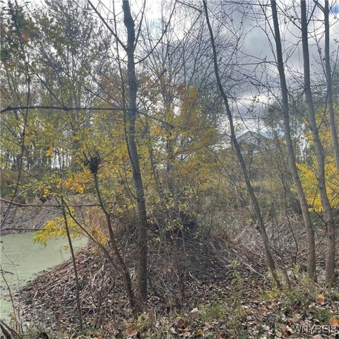 14013 West County House Rd., Albion, NY 14411