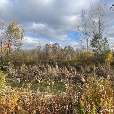 14013 West County House Rd., Albion, NY 14411