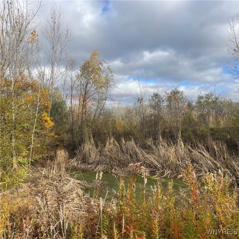 14013 West County House Rd., Albion, NY 14411