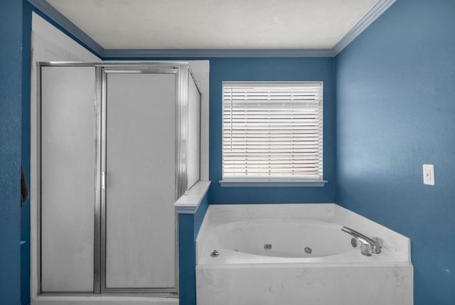 3907 Black Oak Lane, Montgomery, TX 77316
