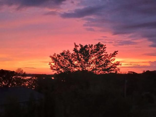 101 Birch Street, Blue Eye, MO 65611