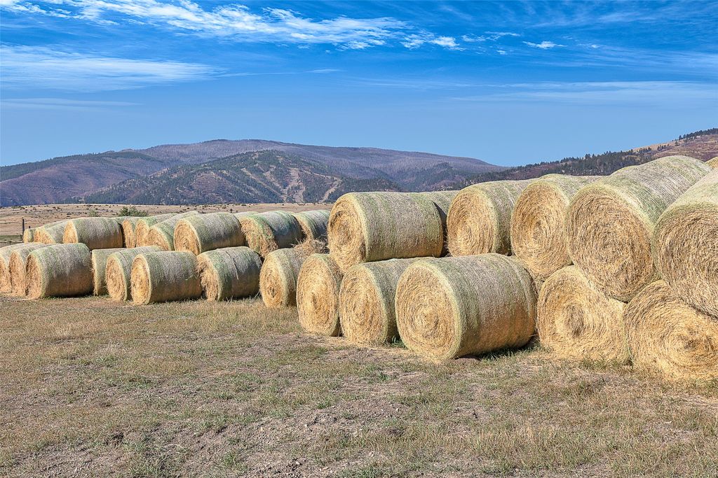 000 Homestead Village, Florence, MT 59833 photo 30