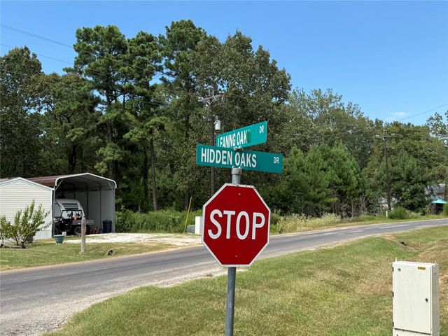 10 Leaning Oak Drive, Point Blank, TX 77364