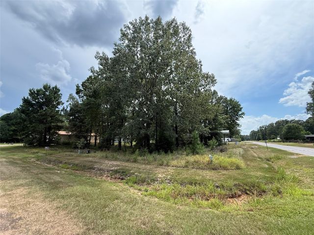 10 Leaning Oak Drive, Point Blank, TX 77364