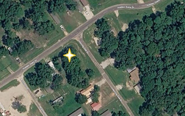 10 Leaning Oak Drive, Point Blank, TX 77364