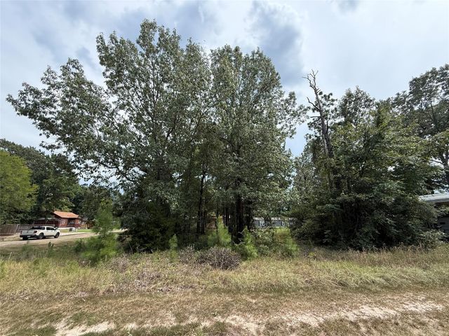 10 Leaning Oak Drive, Point Blank, TX 77364