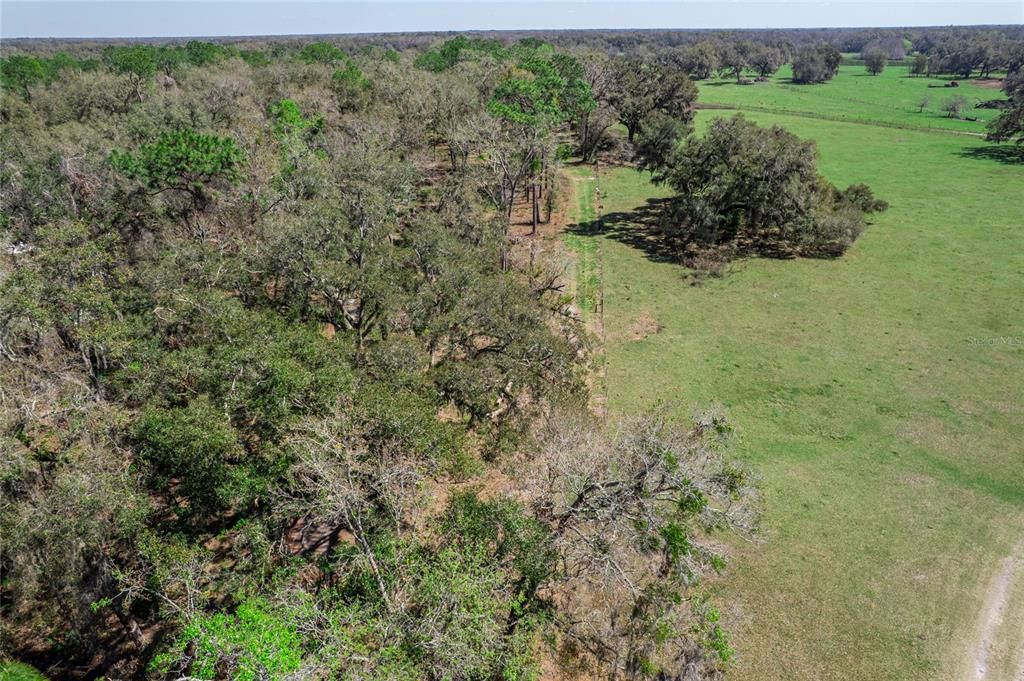 TBD S US 301, Webster, FL 33597