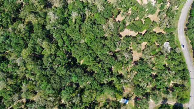 22722 County Road 384 A, Damon, TX 77430