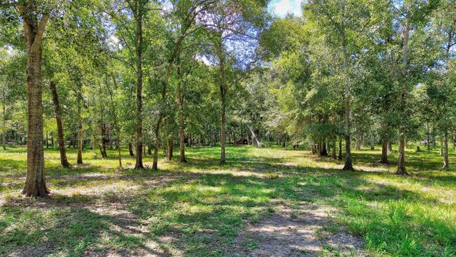 22722 County Road 384 A, Damon, TX 77430