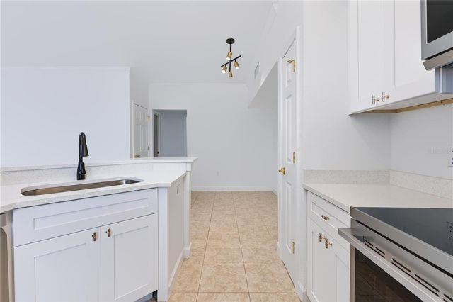 9818 LAKE CHASE ISLAND WAY 9818, Tampa, FL 33626