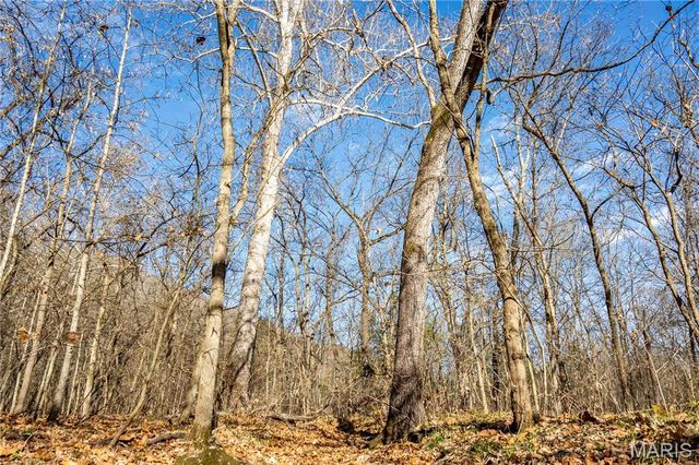 00 Charette Creek Road, Warrenton, MO 63383