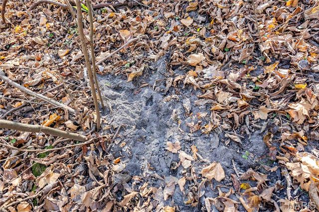 00 Charette Creek Road, Warrenton, MO 63383